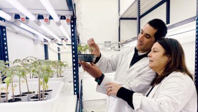 Investigadores del IIB