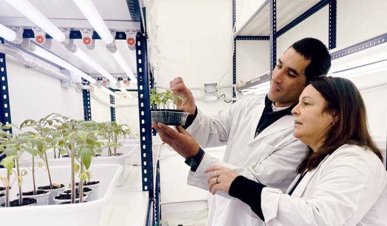 Investigadores del IIB