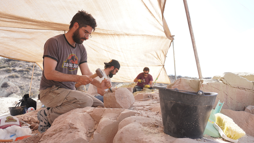 Streaming paleontología