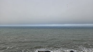 temperatura del mar